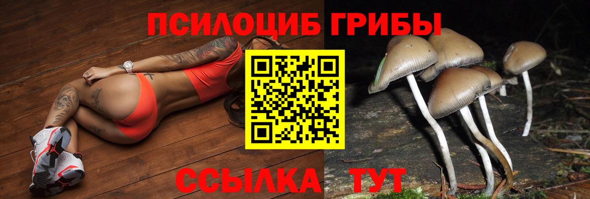 Галлюциногенные грибы мицелий Мценск