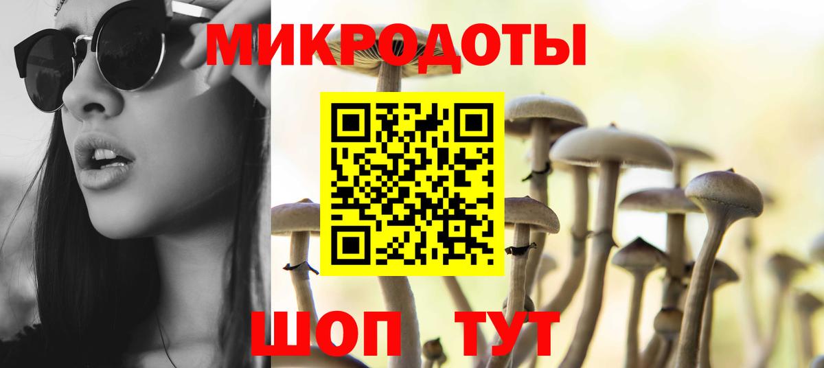 Галлюциногенные грибы Psilocybe  Вход с VPN  Псилоцибиновые грибы мицелий  Мценск 